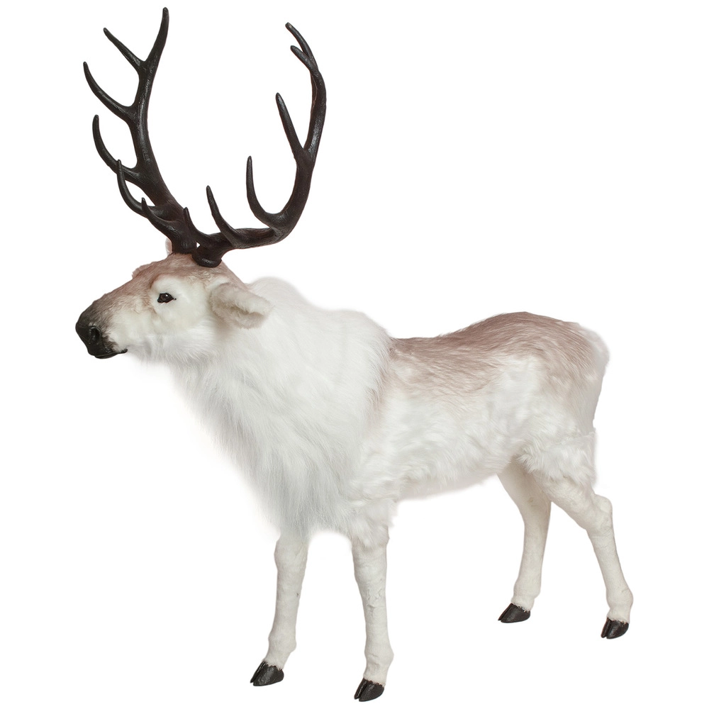 Christmas deer | Wholesale flowers, plants and supplies Christmas deer