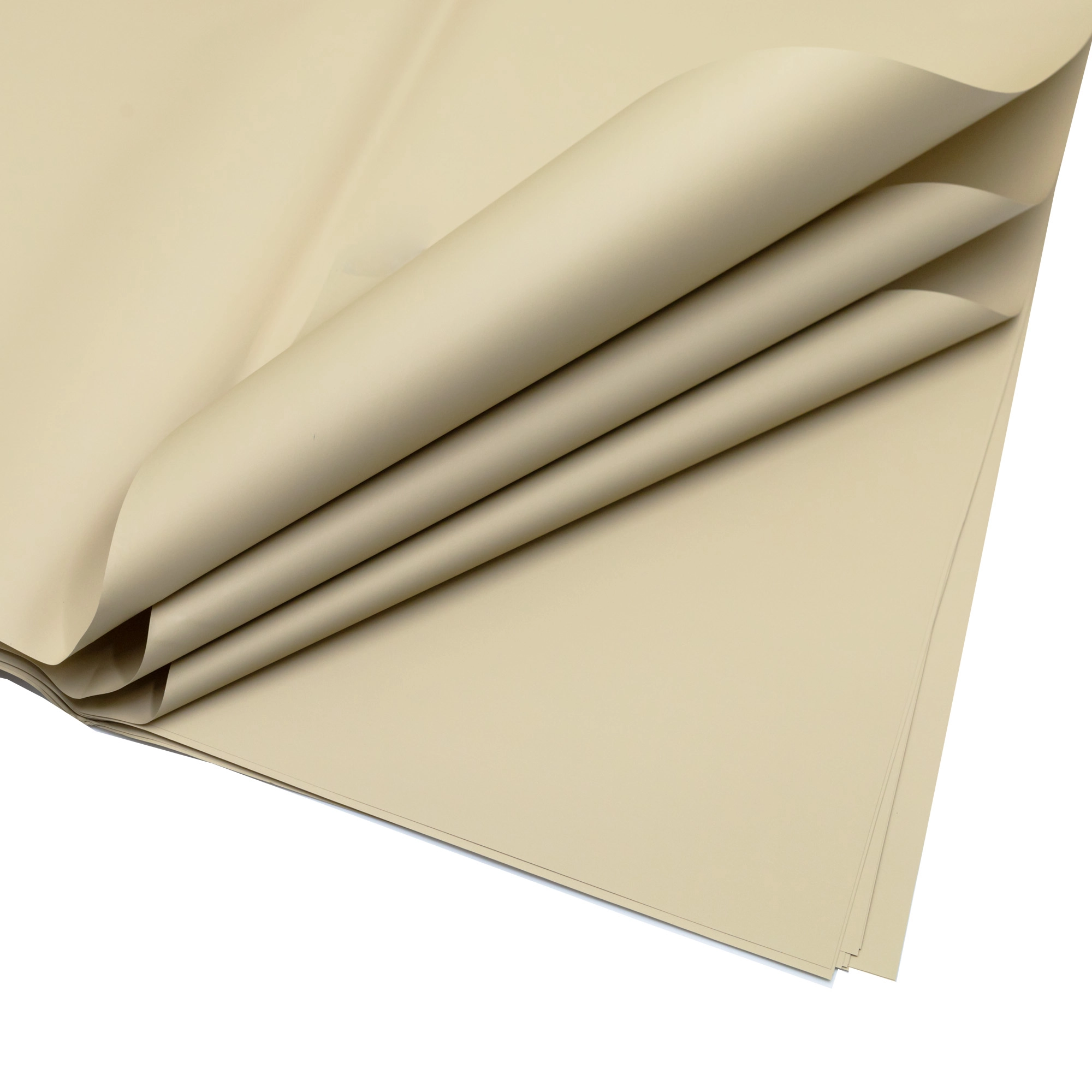 Film Must Have 53mic, 20 pcs | Wholesale flowers, plants and supplies Film Must Have 53mic, 20 pcs