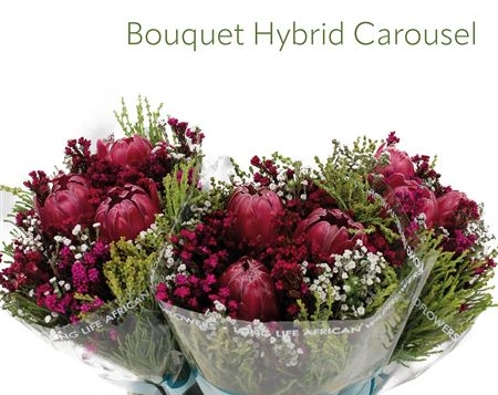 Bouquet 3 protea | Wholesale flowers, plants and supplies Bouquet 3 protea