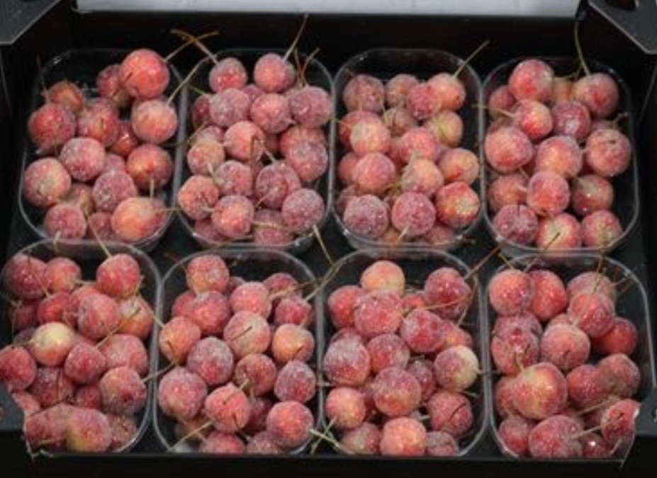 Waxmalus glitter naturel