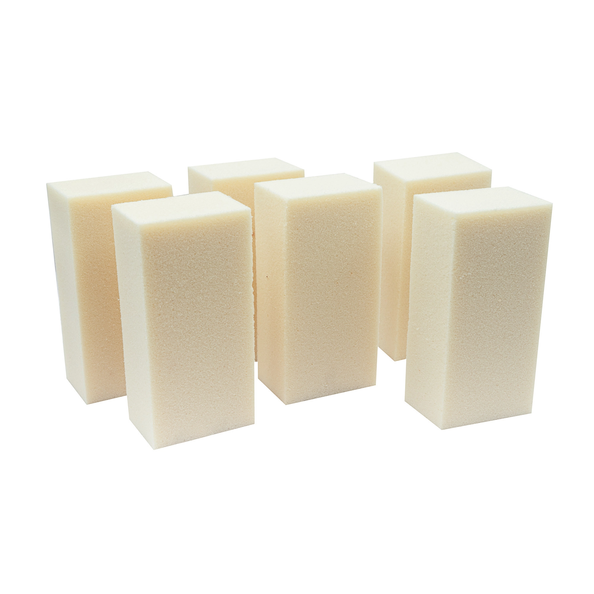 Oasis Flower Foam Sec,20pcs