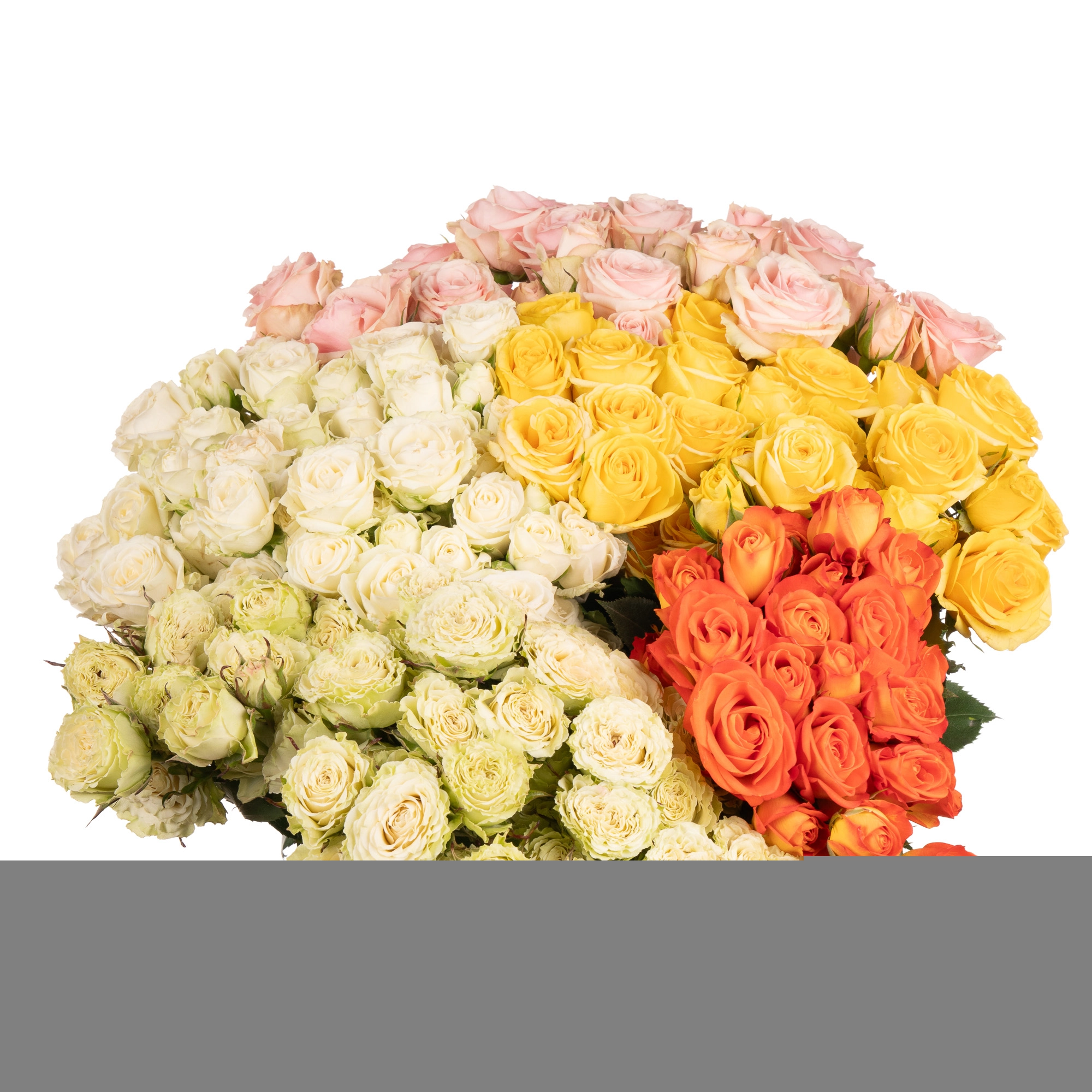 Rose spray mix | Wholesale flowers, plants and supplies Rose spray mix