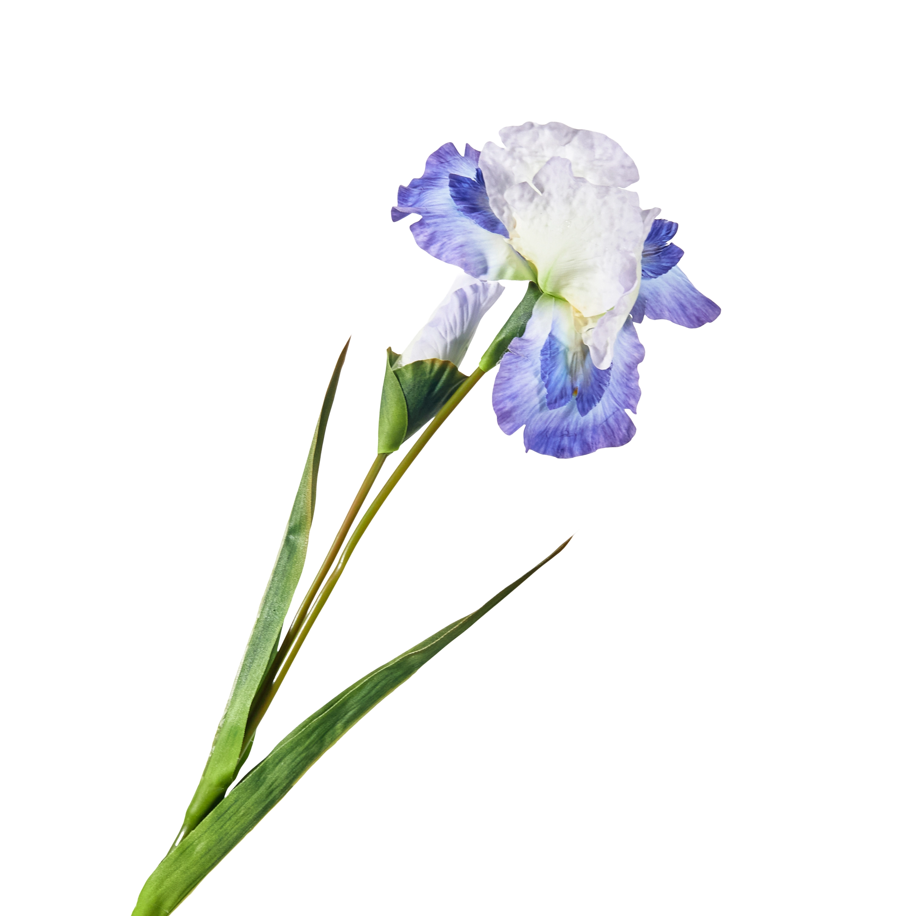 Artificial iris