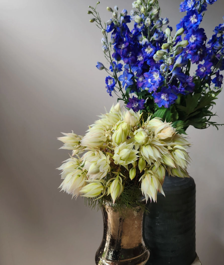 Other | Wholesale flowers, plants and supplies Other