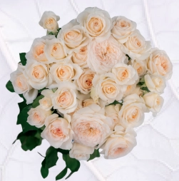 Rose spray fragrant