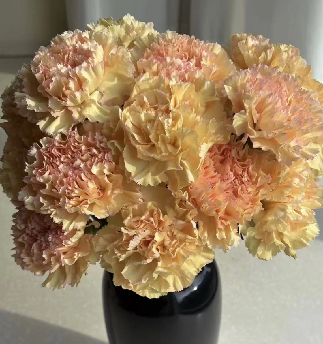 Carnation in hoh xil