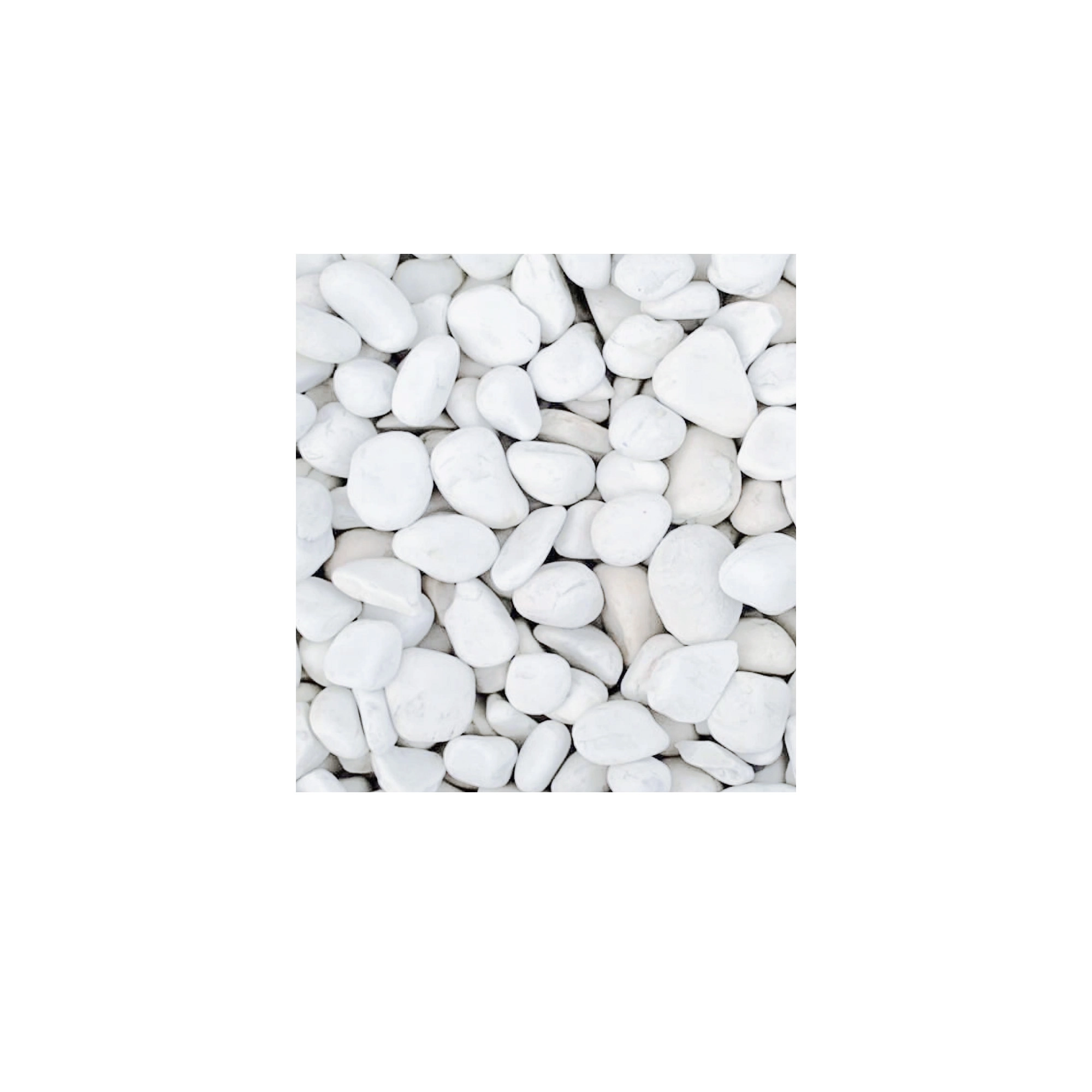 Natural Snow white pebbles 3-5 cm | Wholesale flowers, plants and supplies Natural Snow white pebbles 3-5 cm