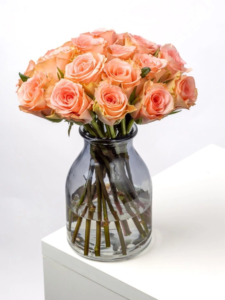 Rose lupin | Wholesale flowers, plants and supplies Rose lupin