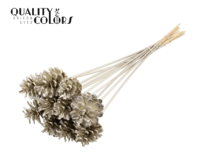 Stick pinecone tinted platina