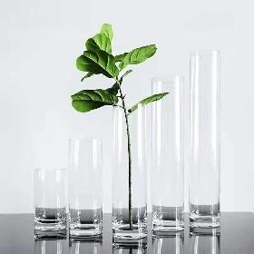 Glass vase Cylinder