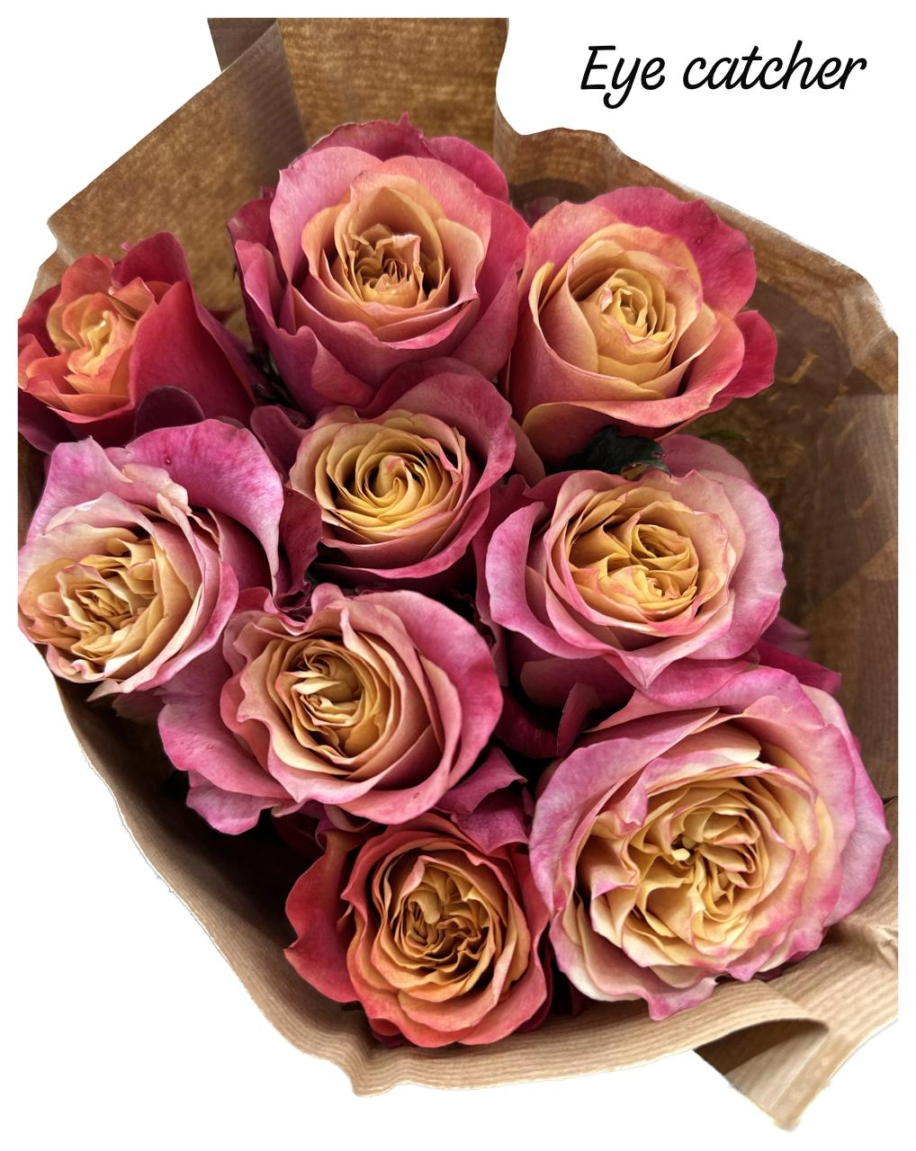Rose eye catcher | Wholesale flowers, plants and supplies Rose eye catcher