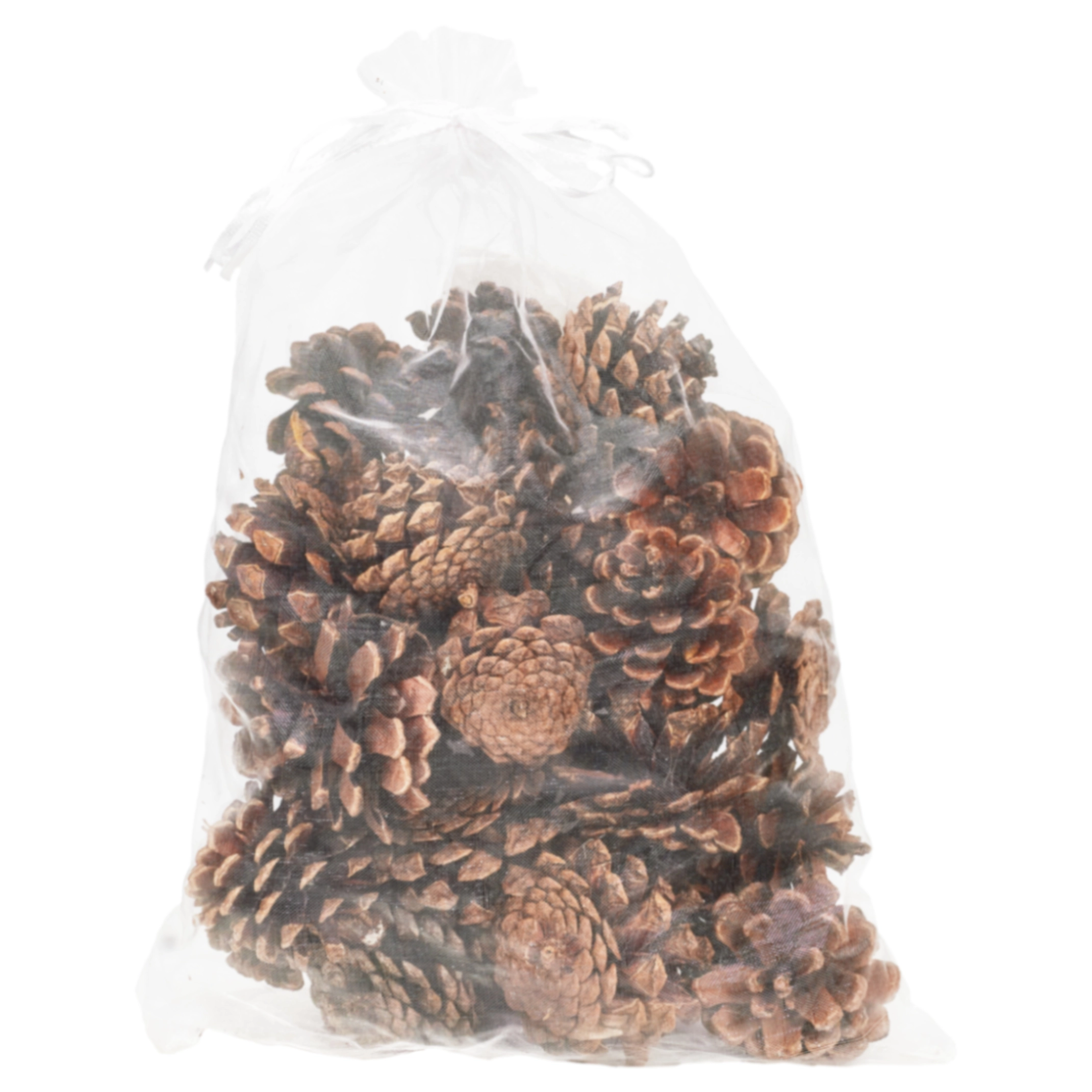 Pine cones, 30 pcs