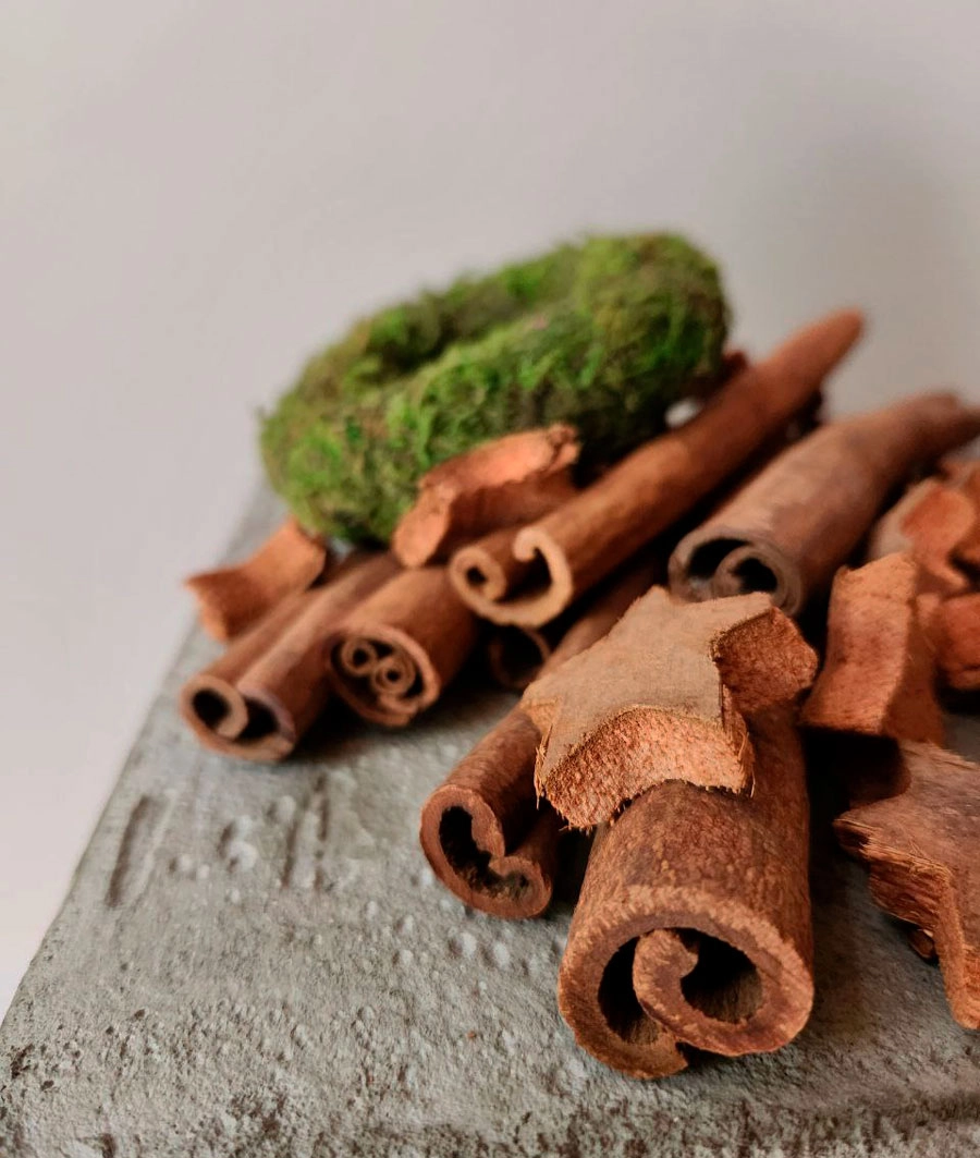 Decorative elements | Wholesale flowers, plants and supplies Decorative elements
