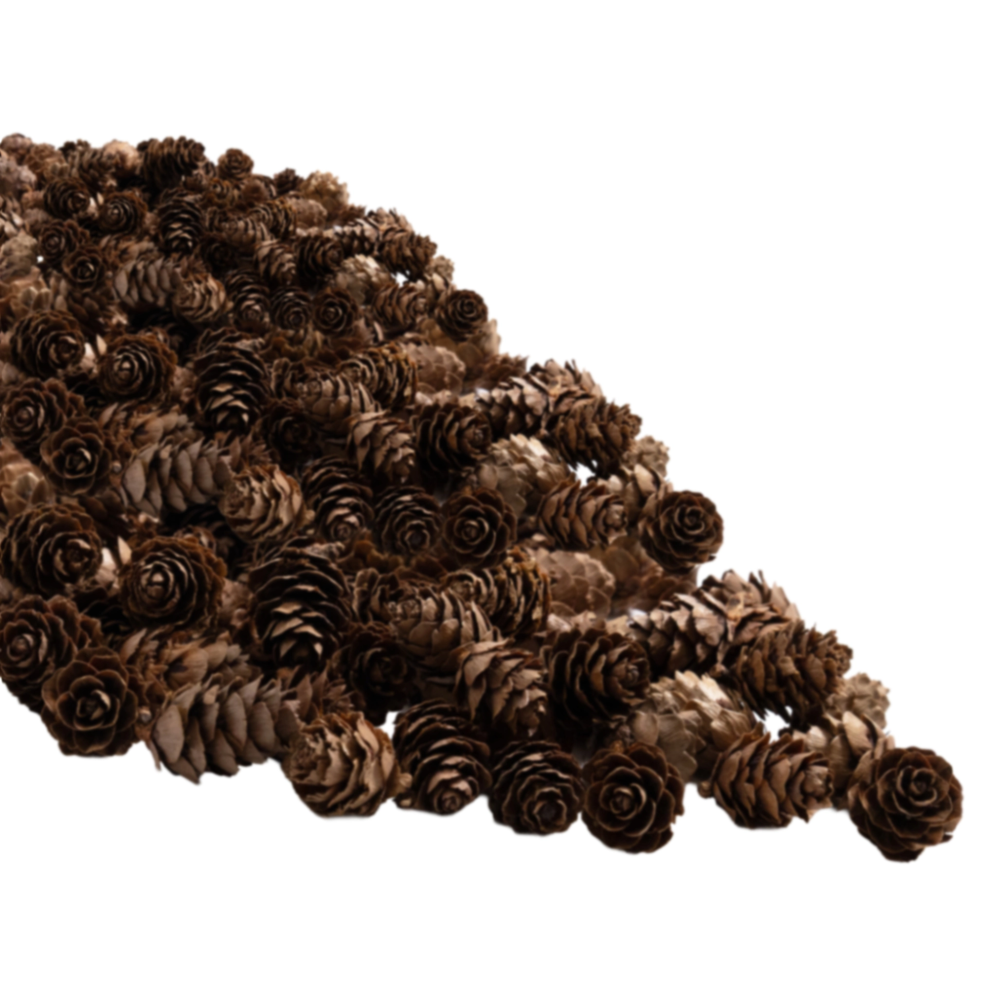 Pine cones, 80 pcs