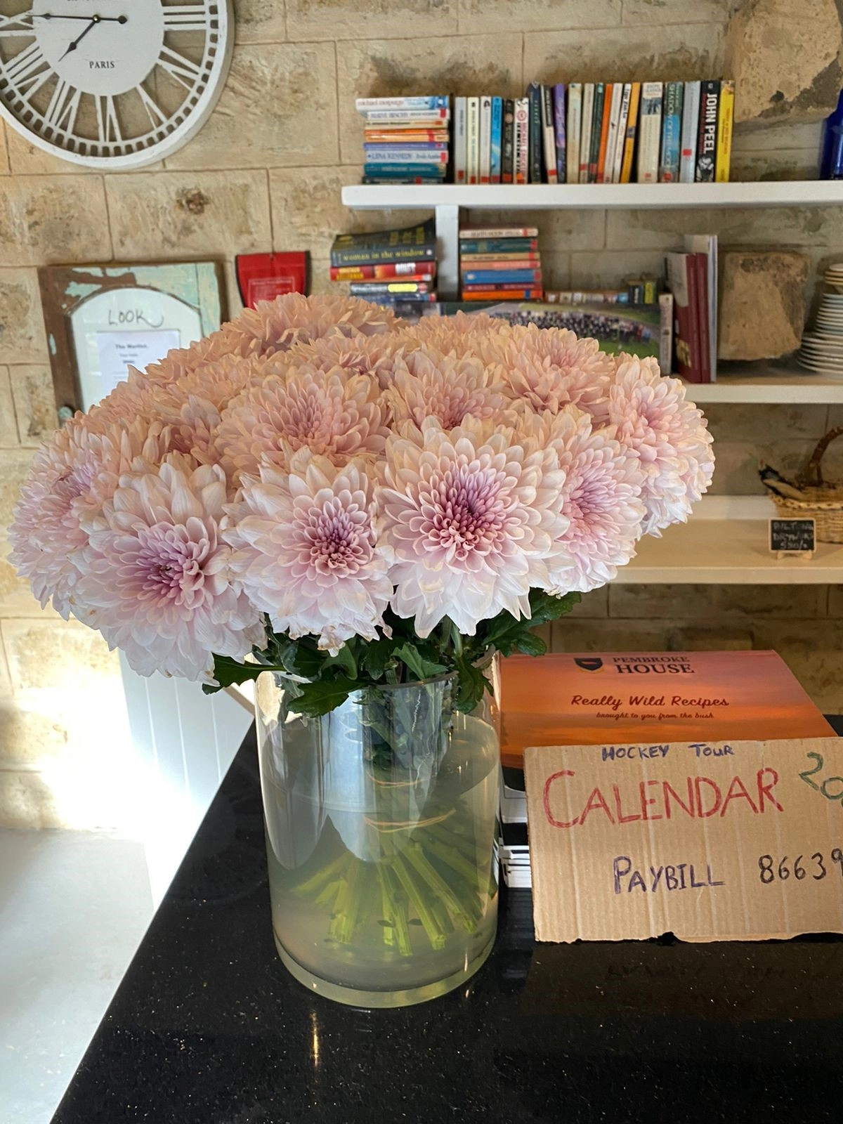 Chrysanthemum kiki