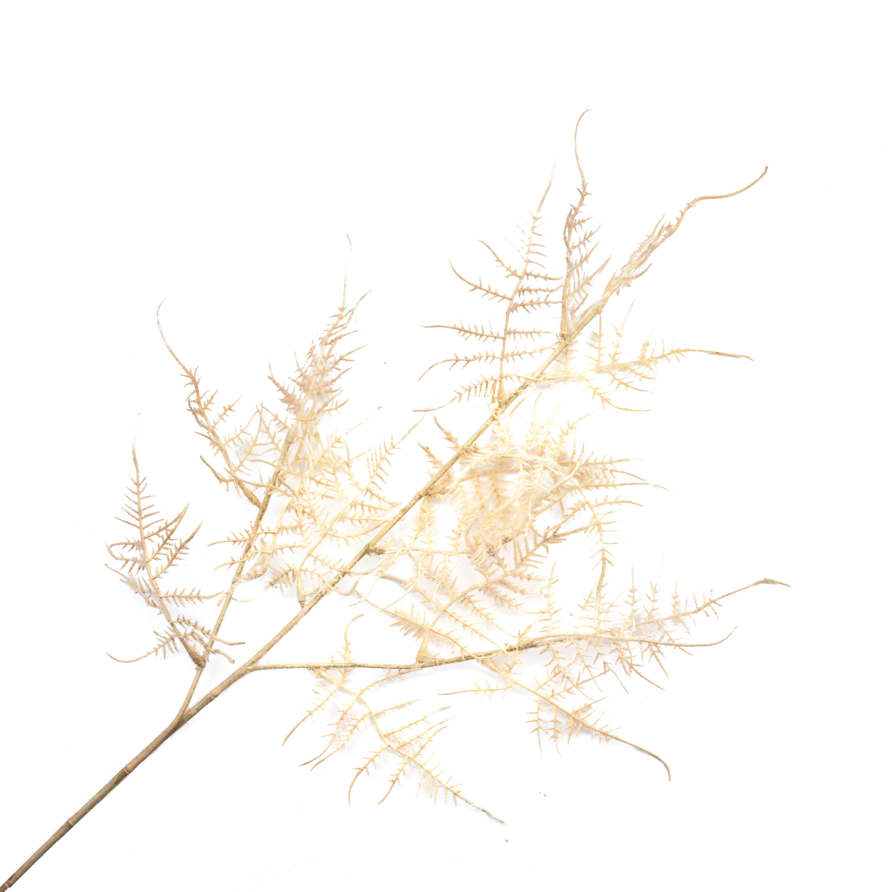 Artificial asparagus spray