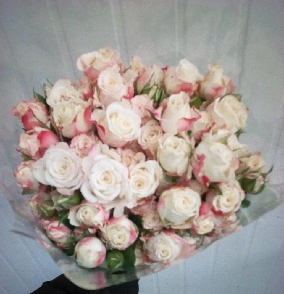 Rose spray innocential | Wholesale flowers, plants and supplies Rose spray innocential