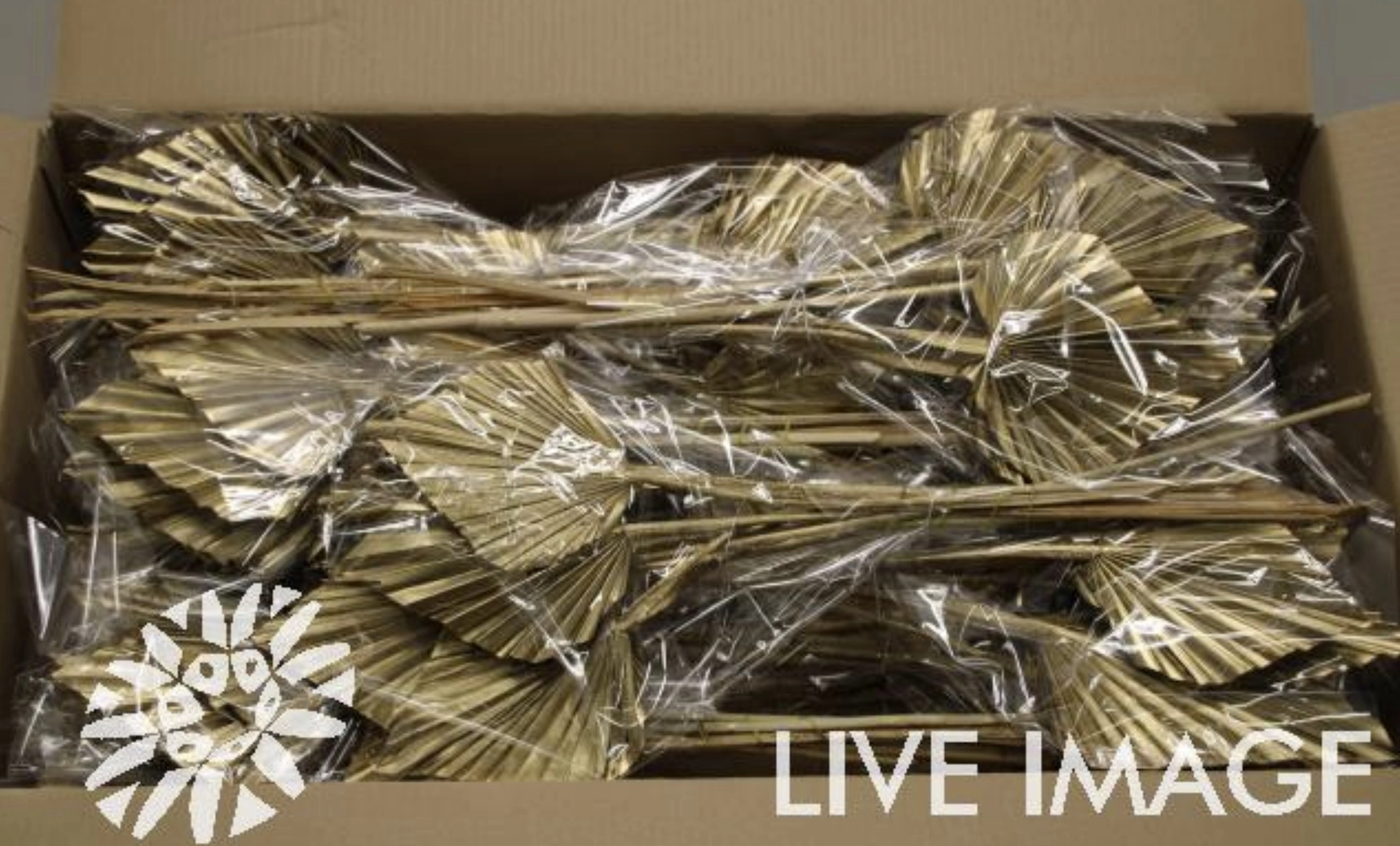 Dried palm spear paint antique gold