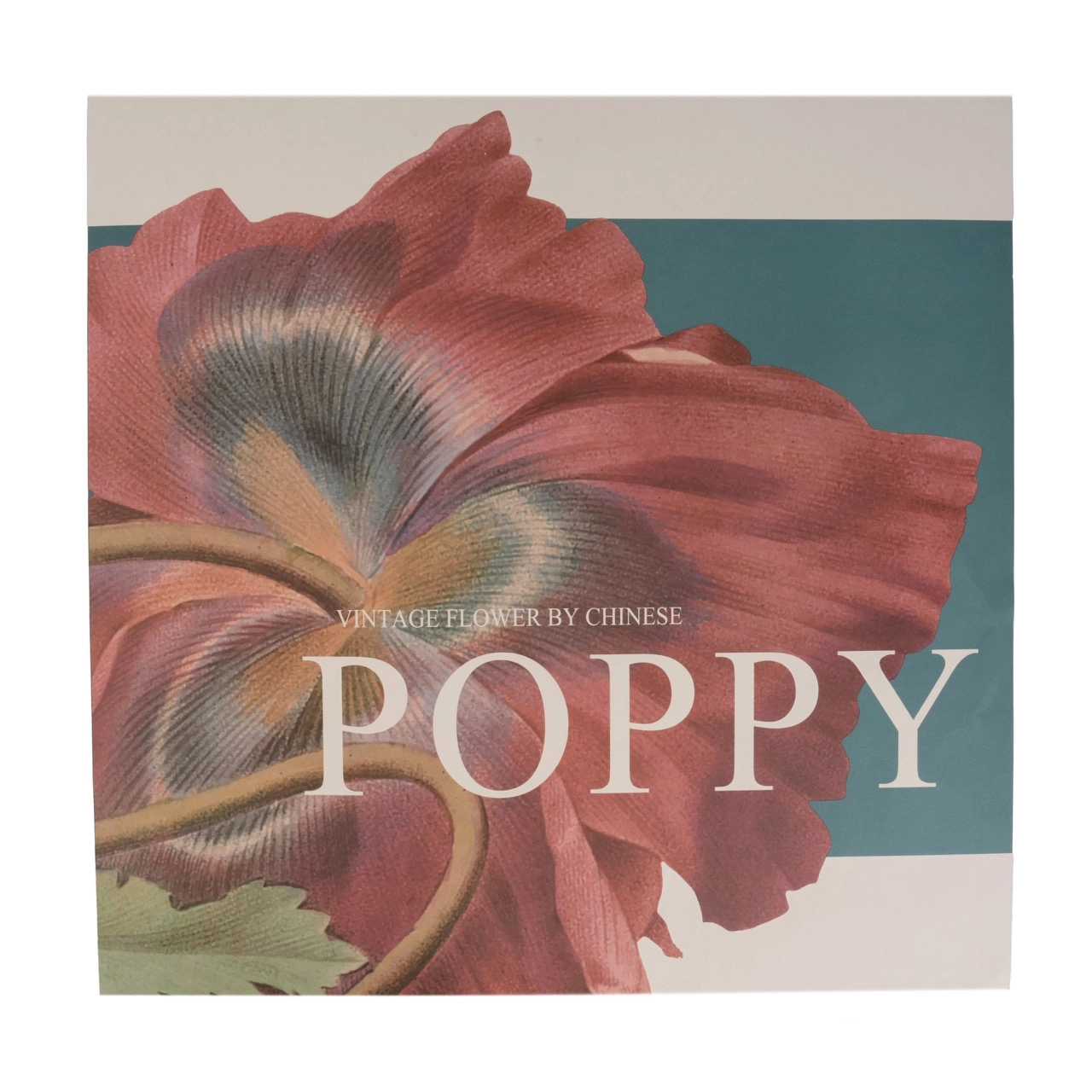 Wrapping paper Poppy 110gsm, 10pcs