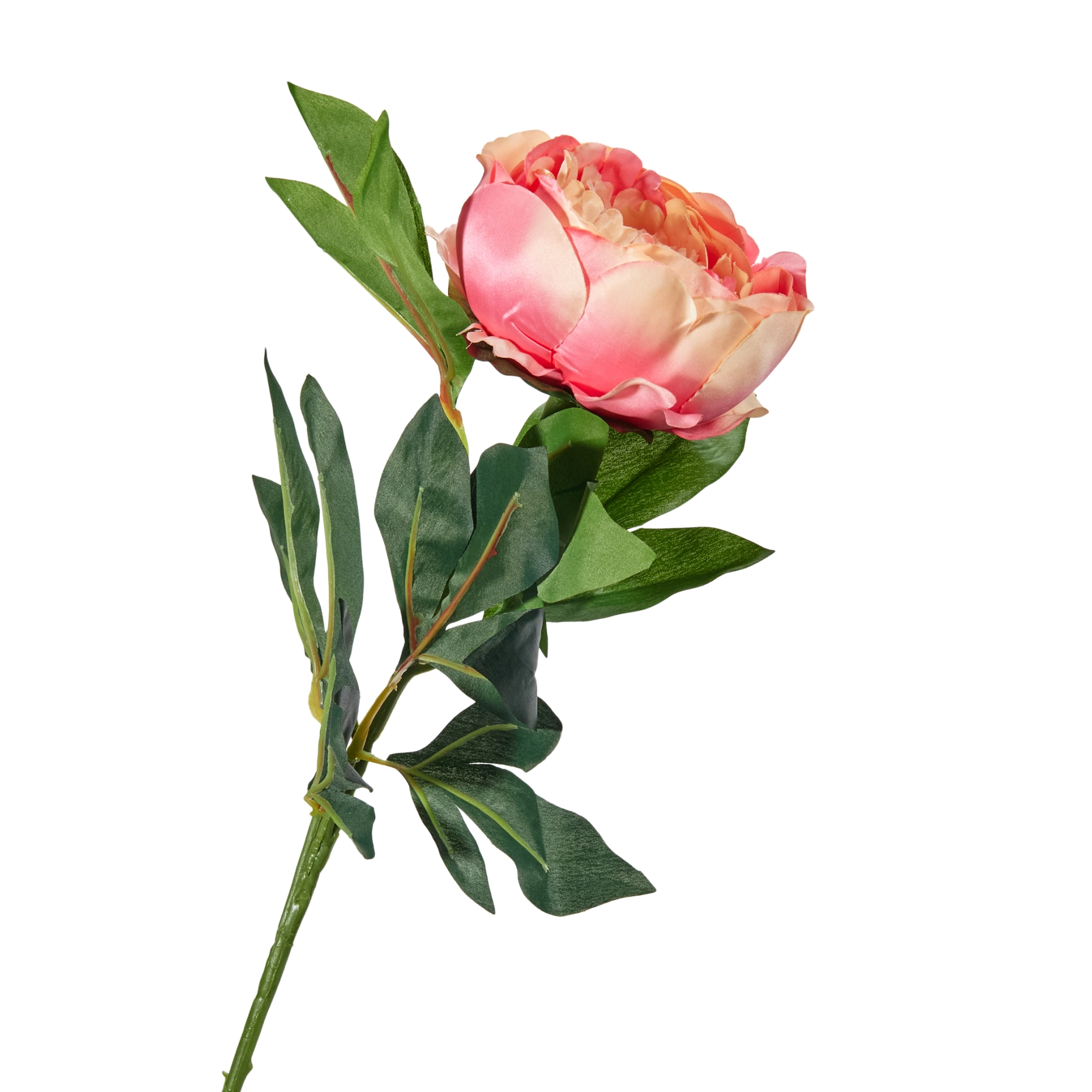 Artificial Rose