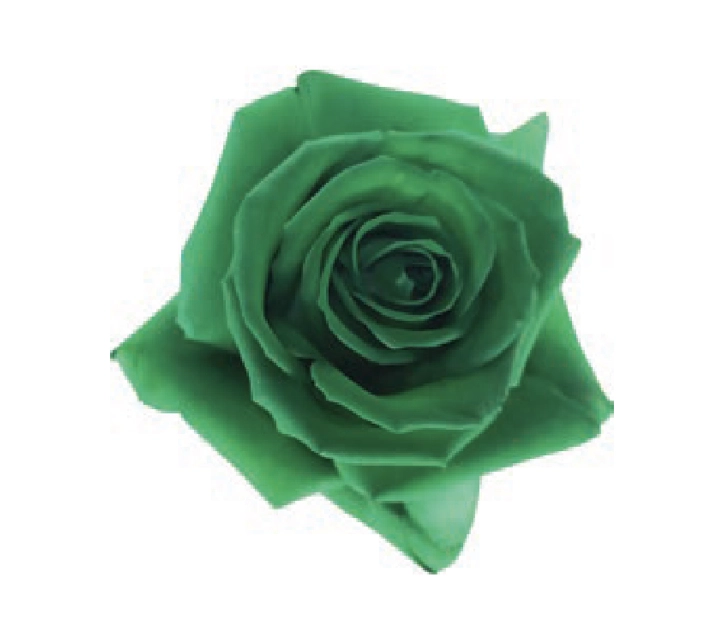 Rose tinted mistletoe magic