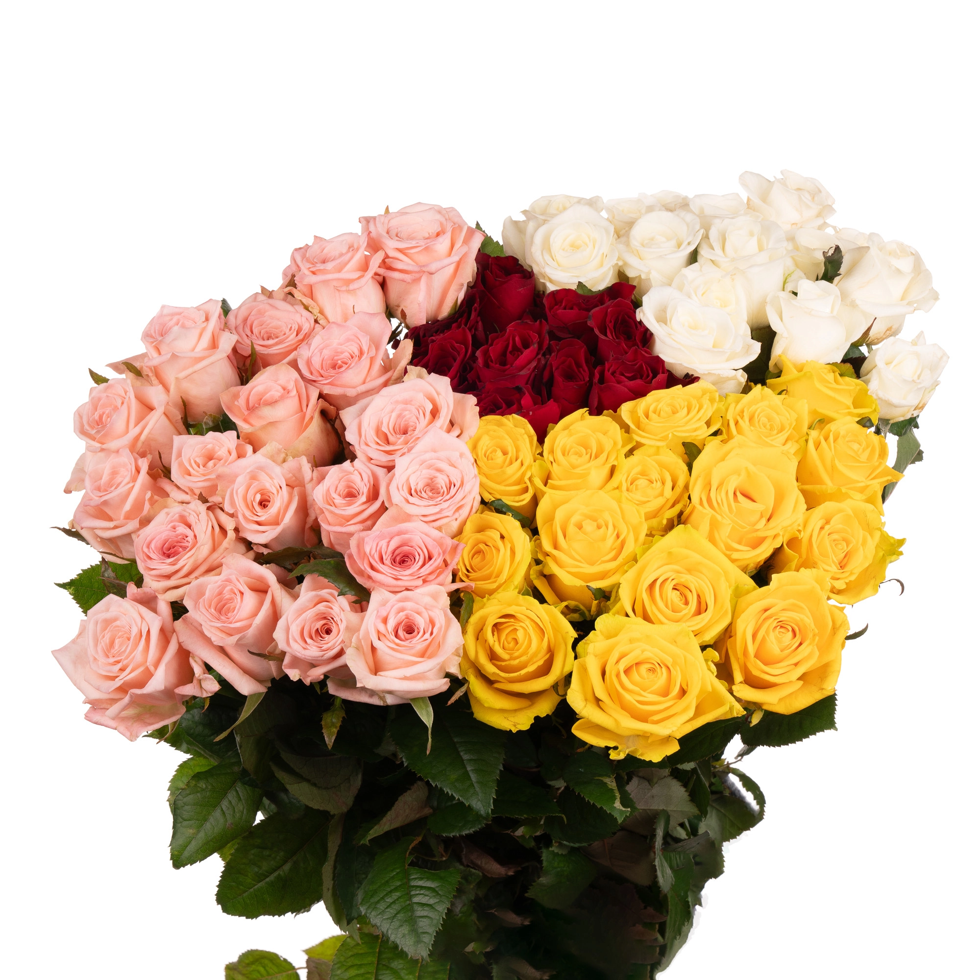 Rose mix | Wholesale flowers, plants and supplies Rose mix