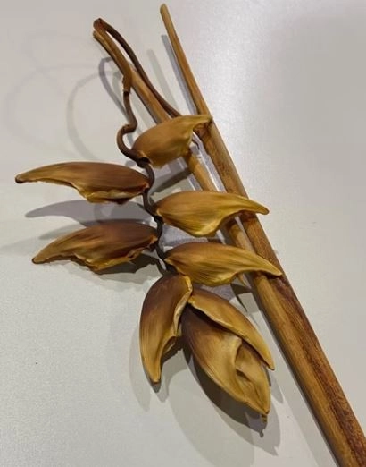 Heliconia preserved carioca large natural