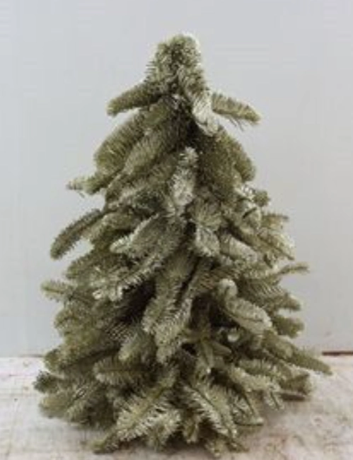 Nobilis tree platina