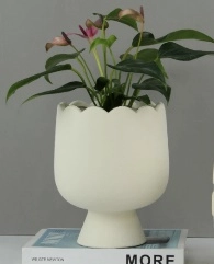 Ceramic flower pot leggy
