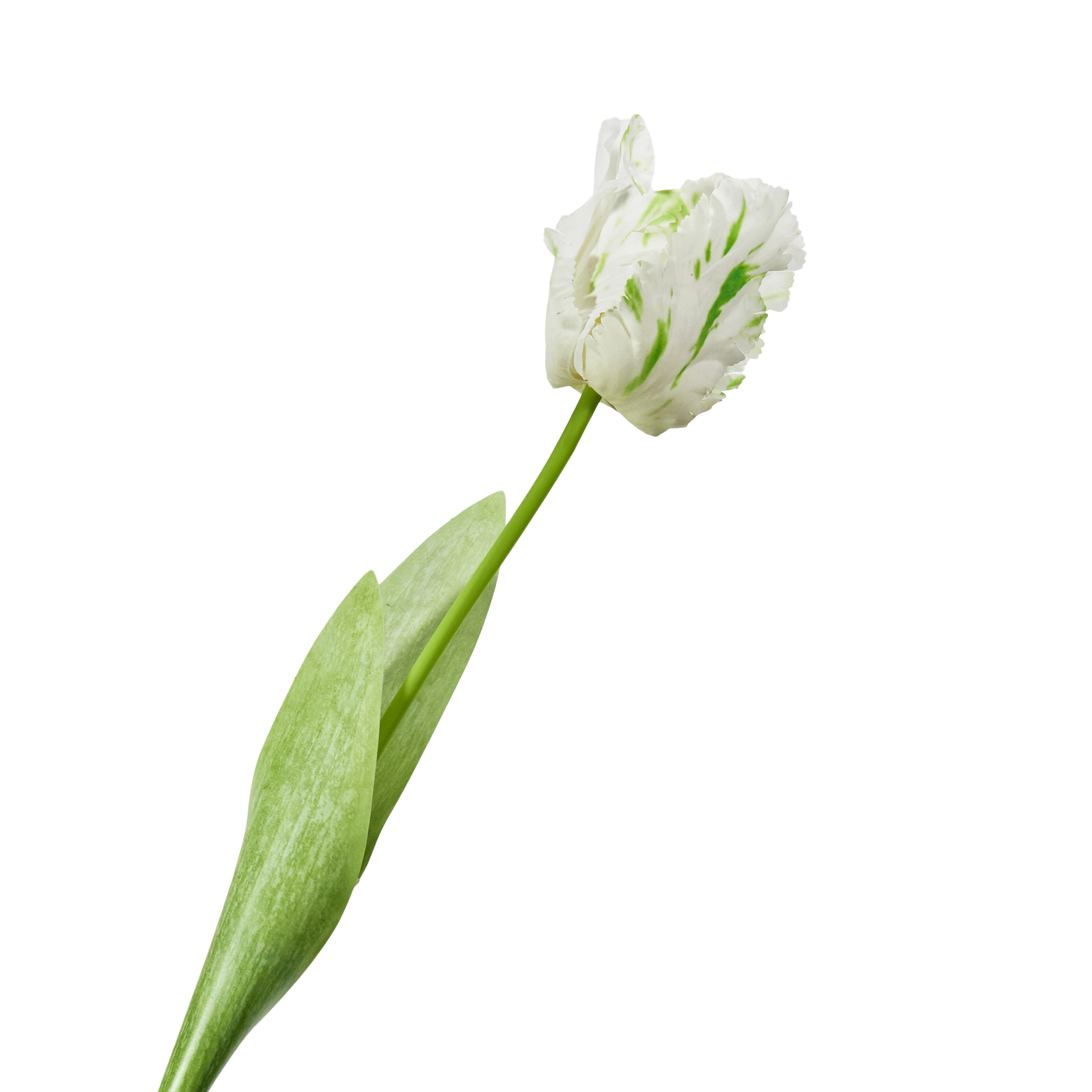 Artificial tulip curly
