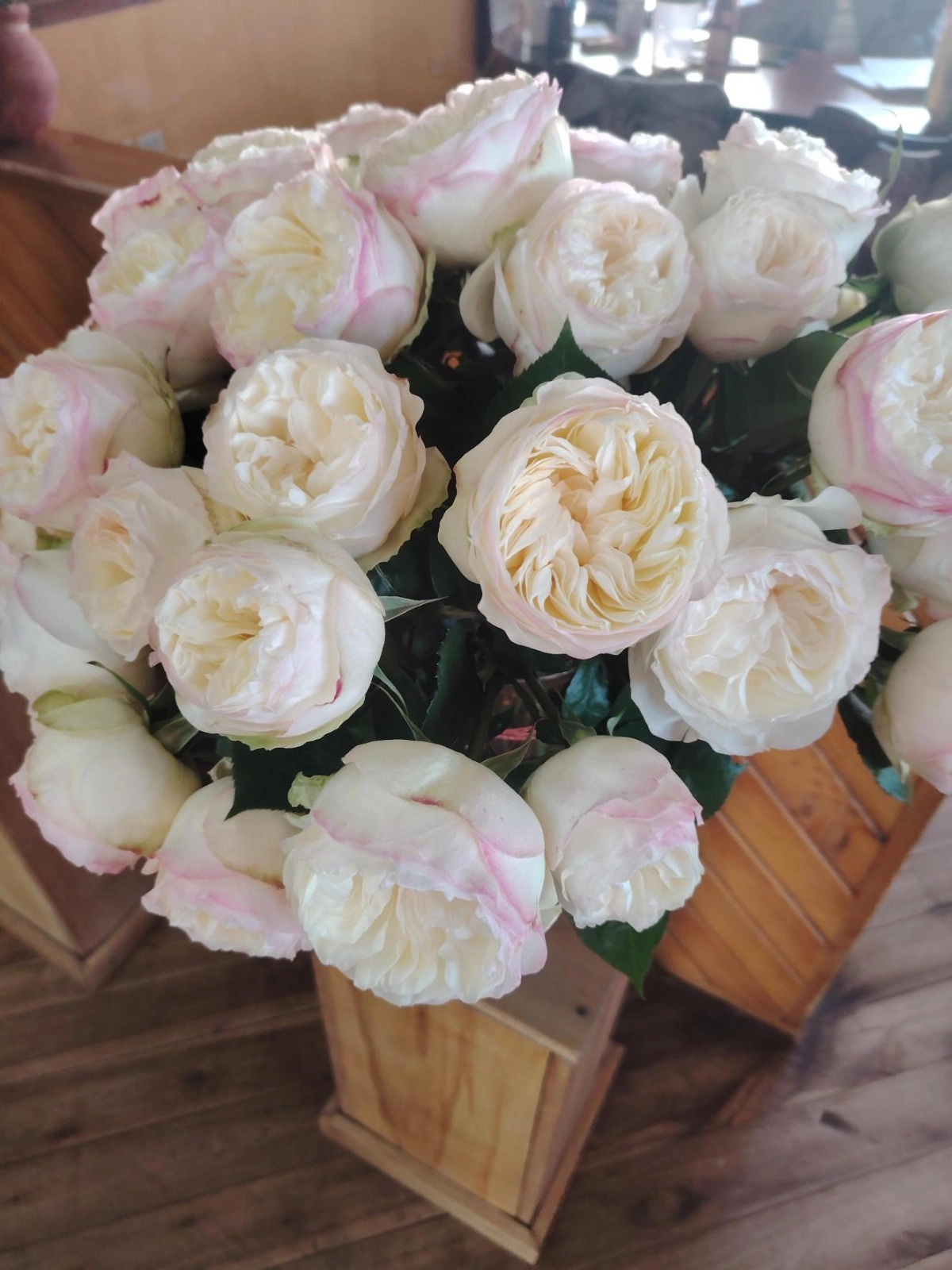 Rose aurora blush