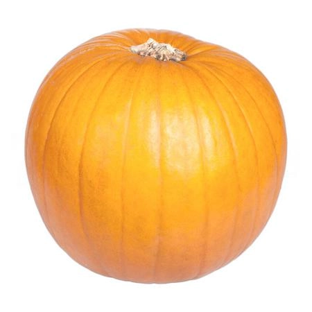 Cucurbita halloween