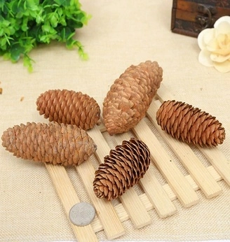 Pine cones, 4 pcs | Wholesale flowers, plants and supplies Pine cones, 4 pcs