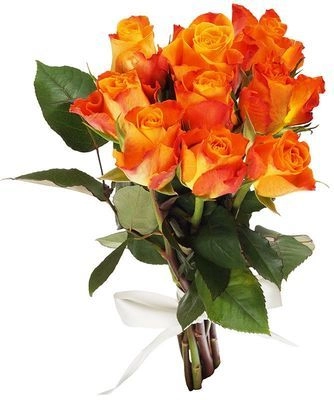 Rose marie-claire! | Wholesale flowers, plants and supplies Rose marie-claire!