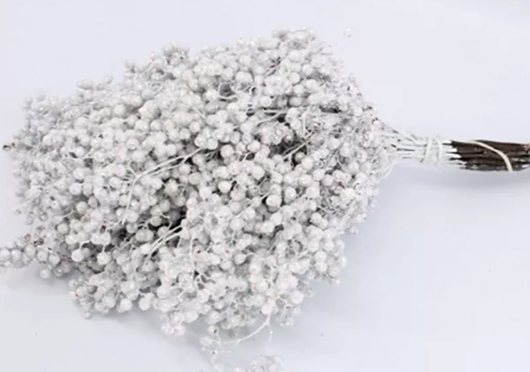 Capsicum schinus mollis mother of pearl