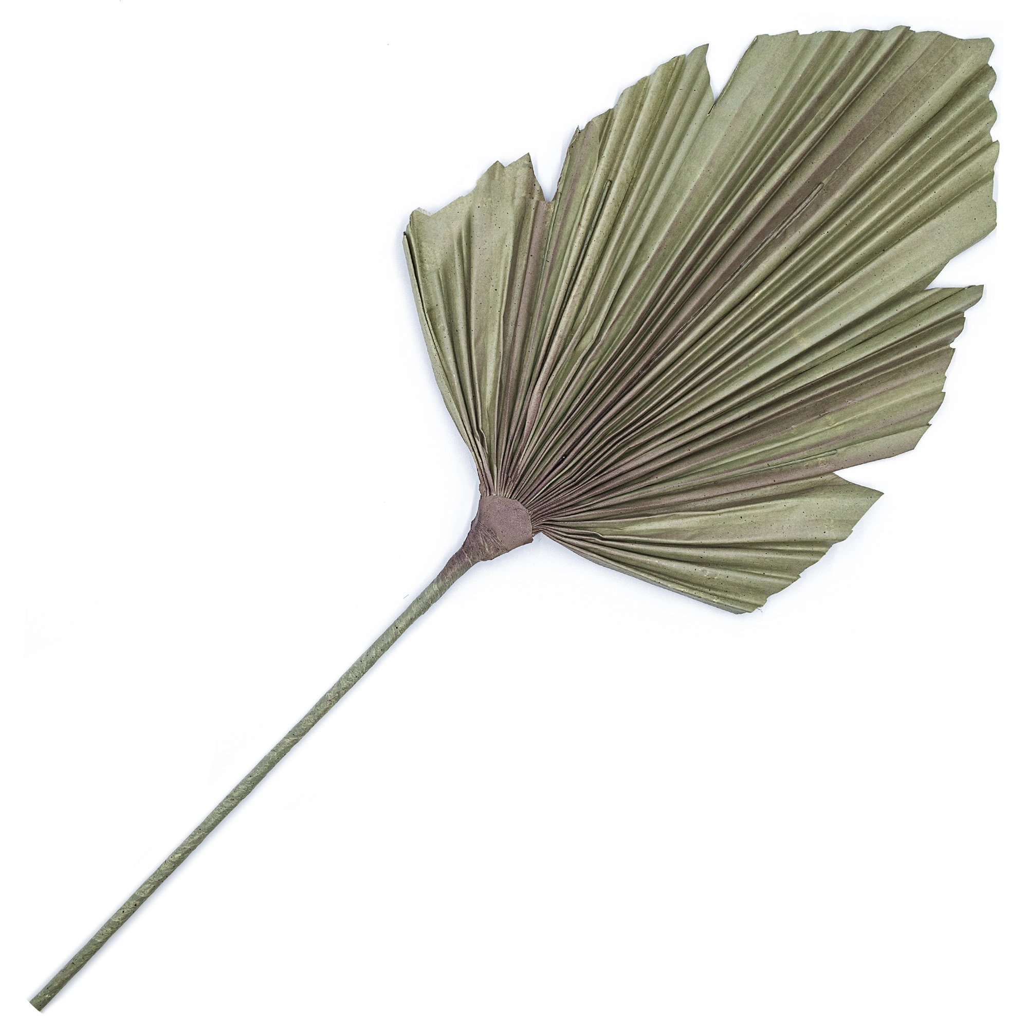 Artificial dry leaf