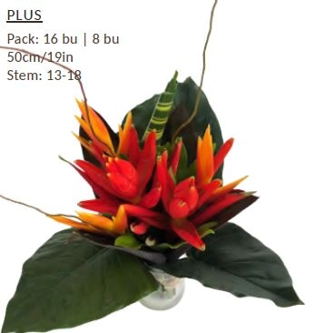 Bouquet confeti lua plus