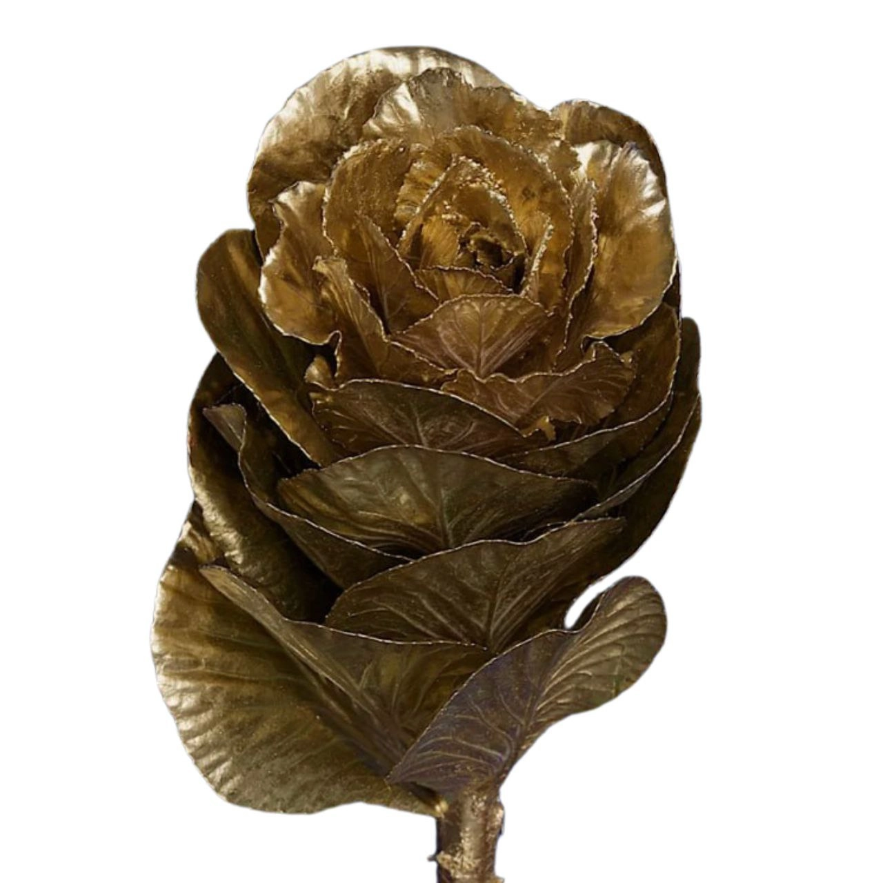 Brassica tinted gold