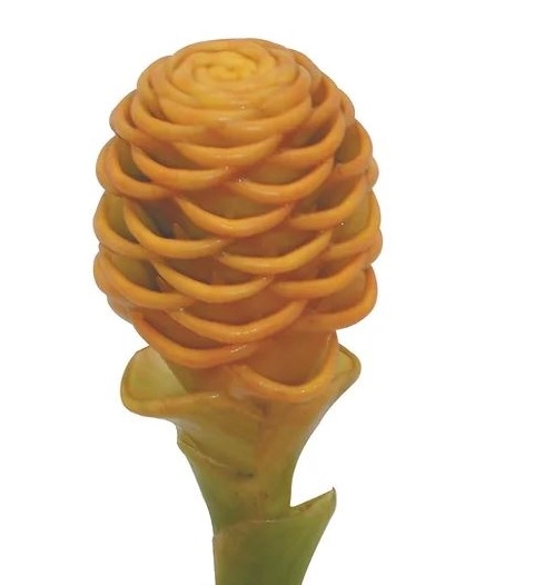 Ginger shampoo yellow