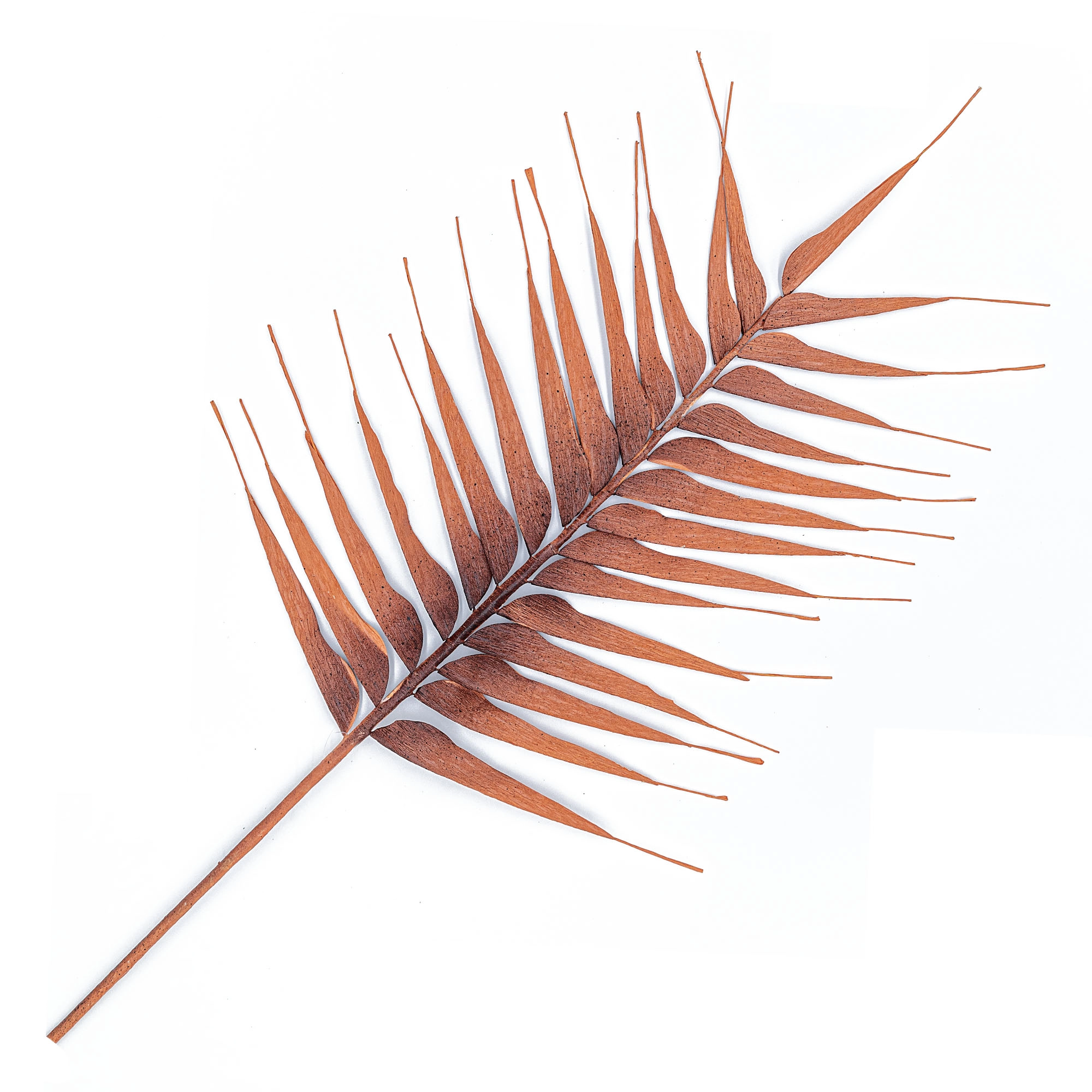 Artificial dry spray | Wholesale flowers, plants and supplies Artificial dry spray