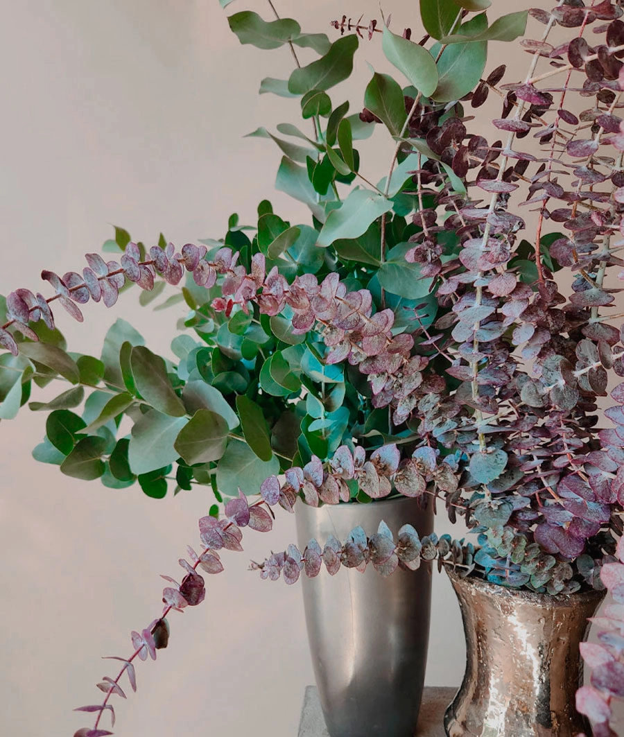 Greens | Wholesale flowers, plants and supplies Greens