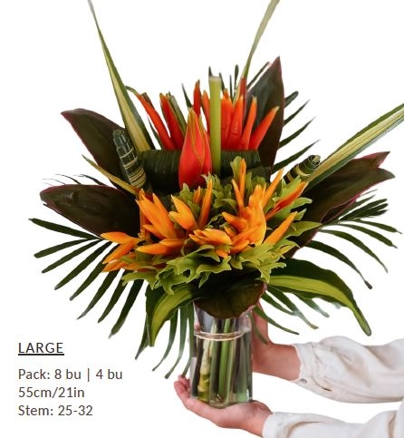 Bouquet coccinea large | Wholesale flowers, plants and supplies Bouquet coccinea large