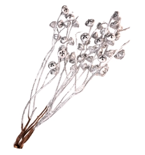 Blad Eucalyptus preserved silver | Wholesale flowers, plants and supplies Blad Eucalyptus preserved silver