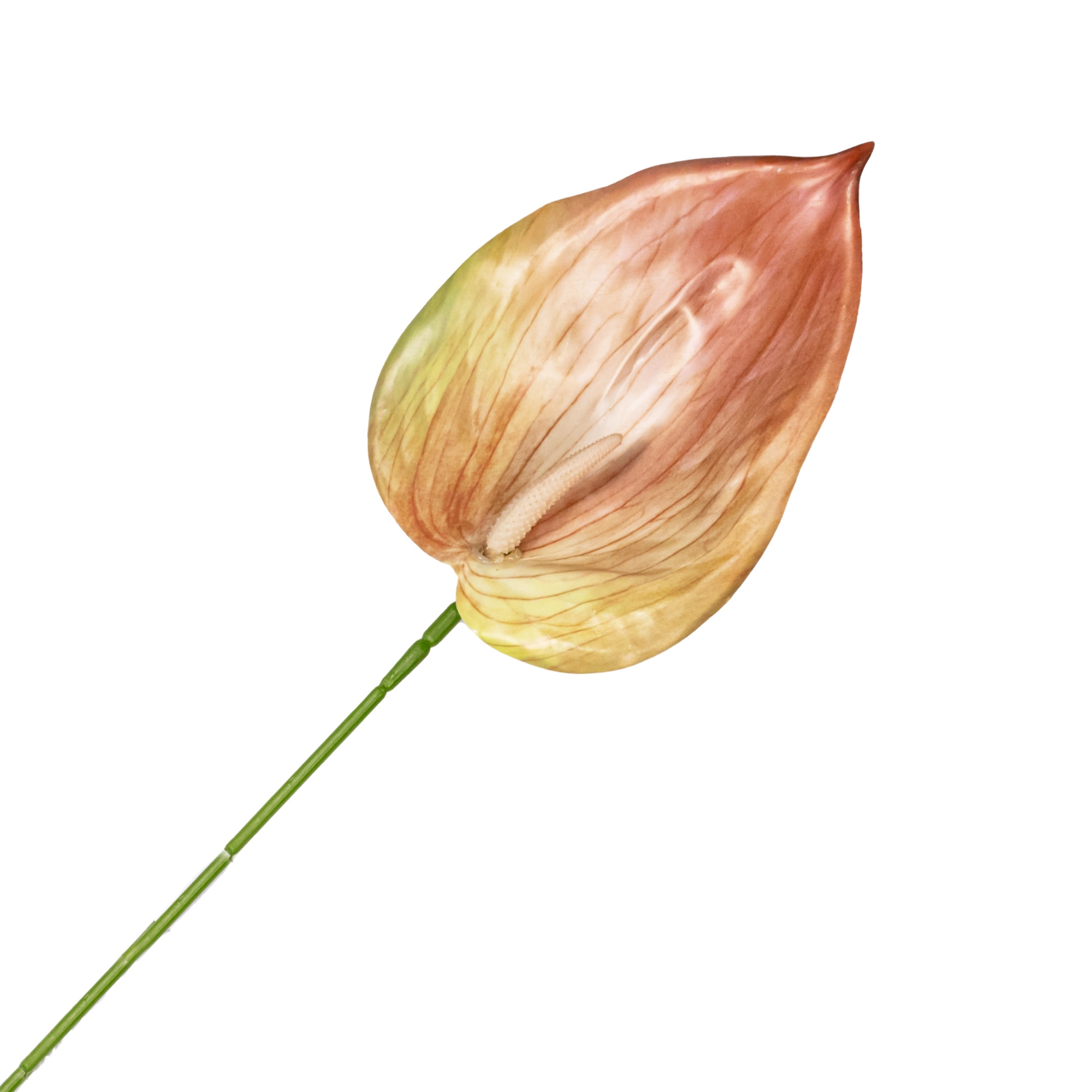 Artificial Anthurium
