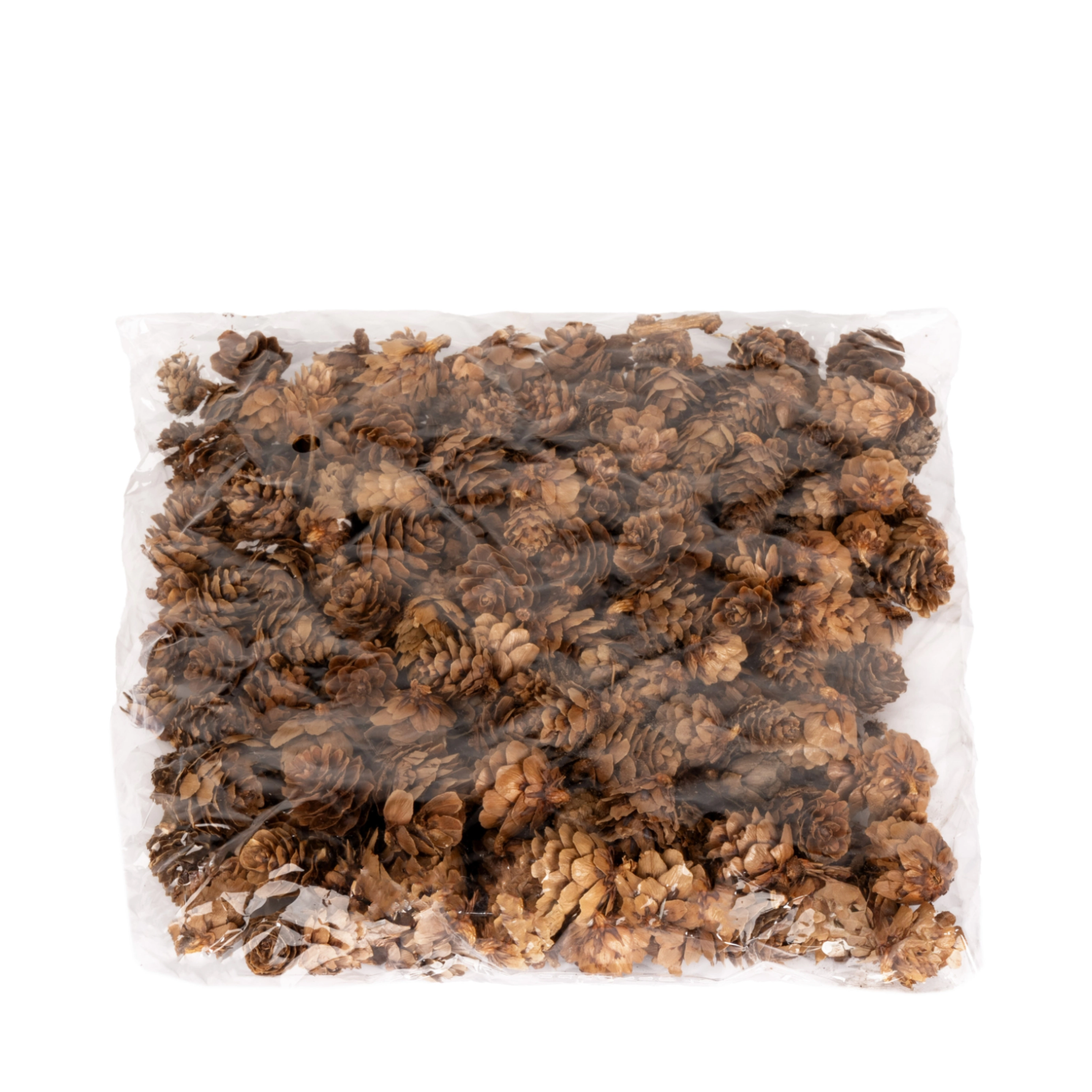 Cones | Wholesale flowers, plants and supplies Cones