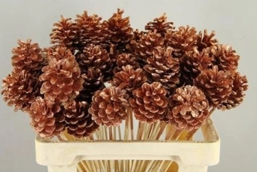 Stick pine cone dyed copper