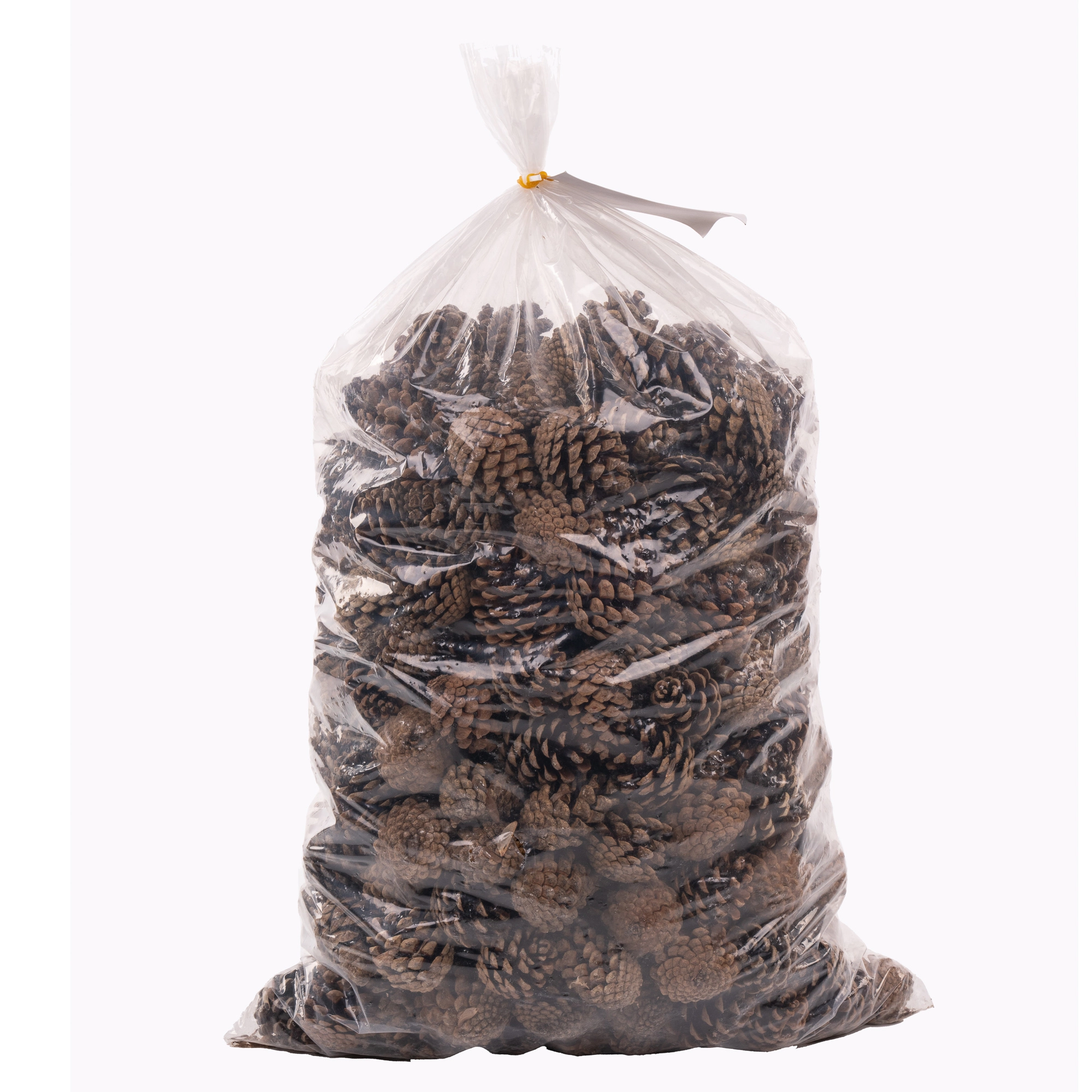 Cone pinecone spruce 5kg | Wholesale flowers, plants and supplies Cone pinecone spruce 5kg