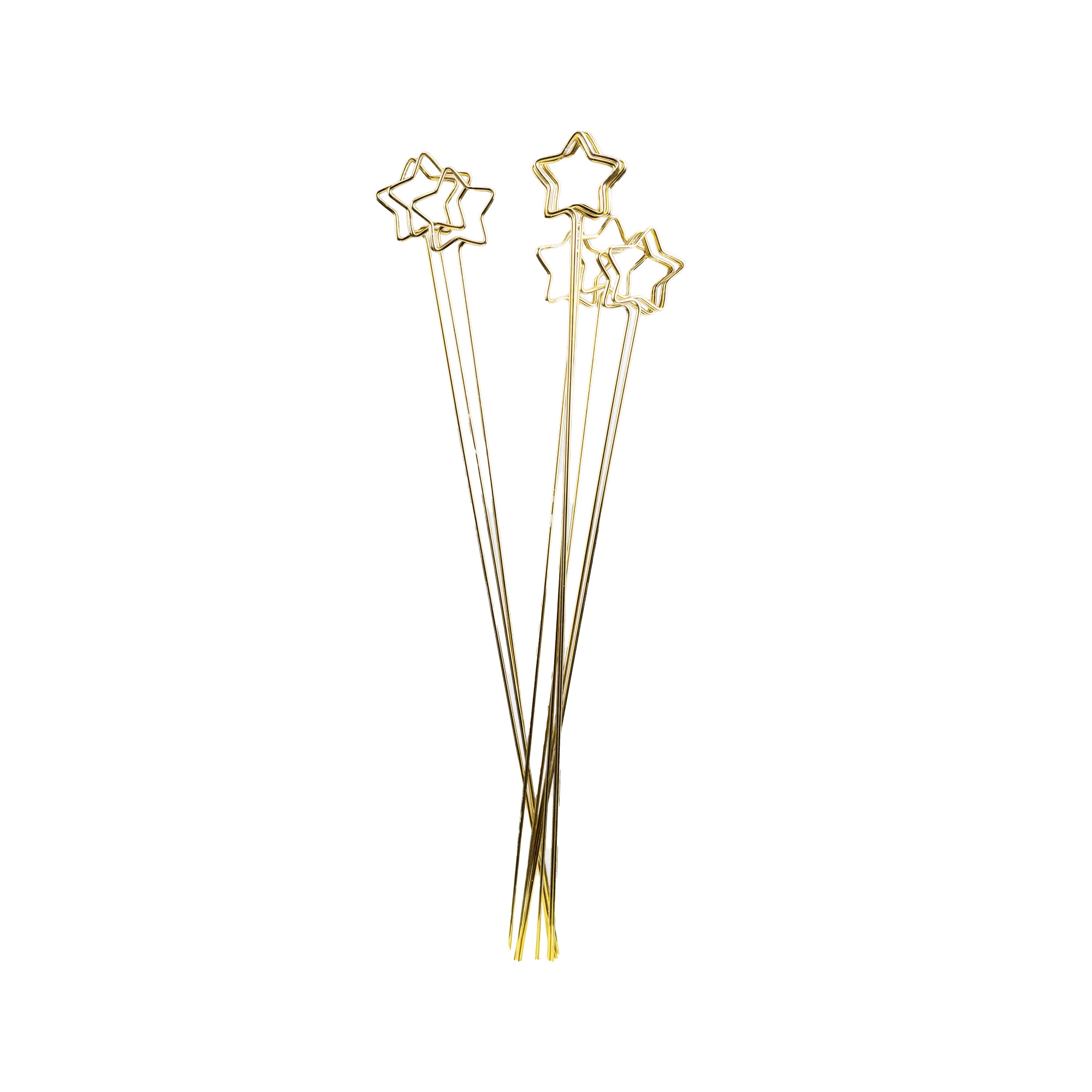 Card holder Star, 10pcs | Wholesale flowers, plants and supplies Card holder Star, 10pcs