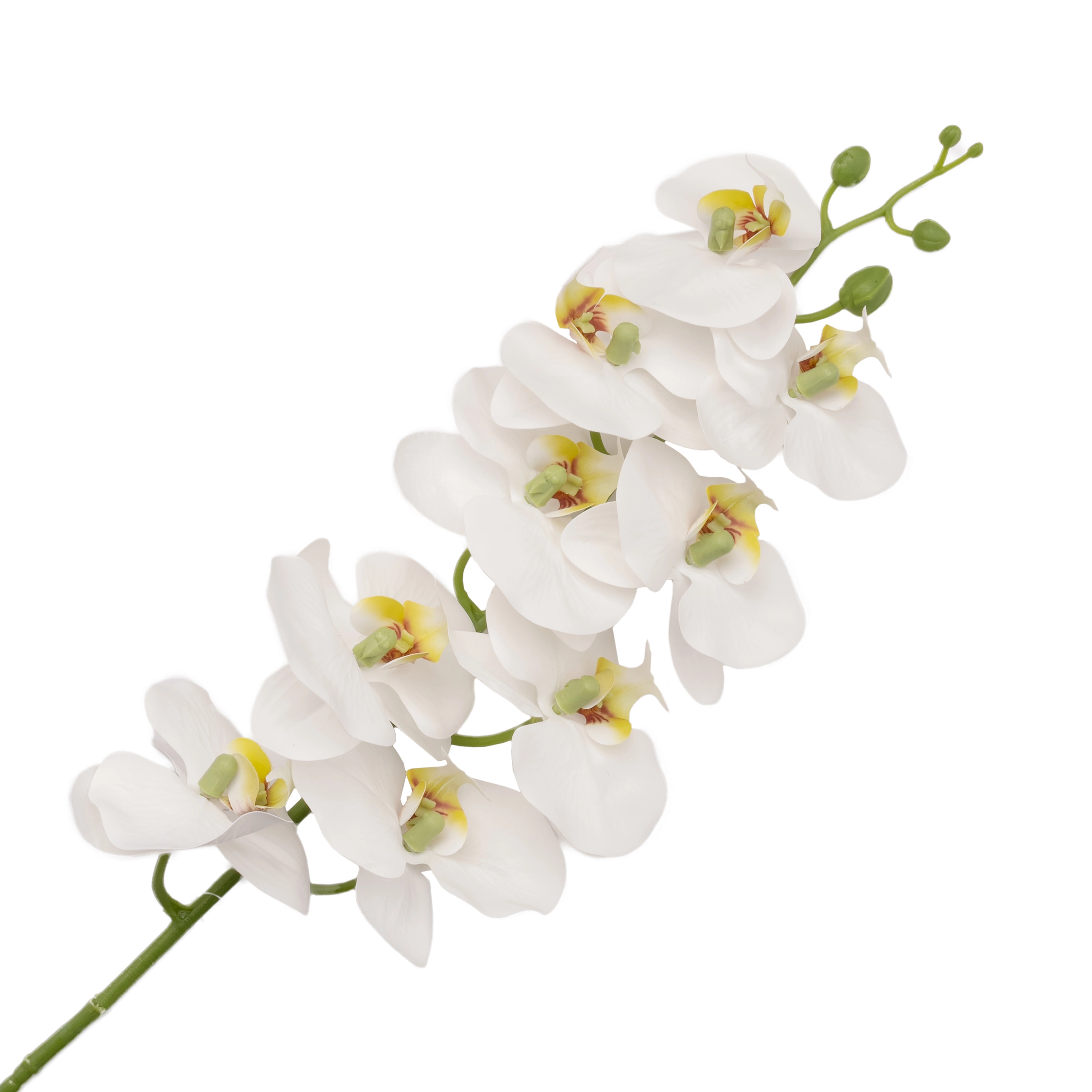Artificial phalaenopsis silicone
