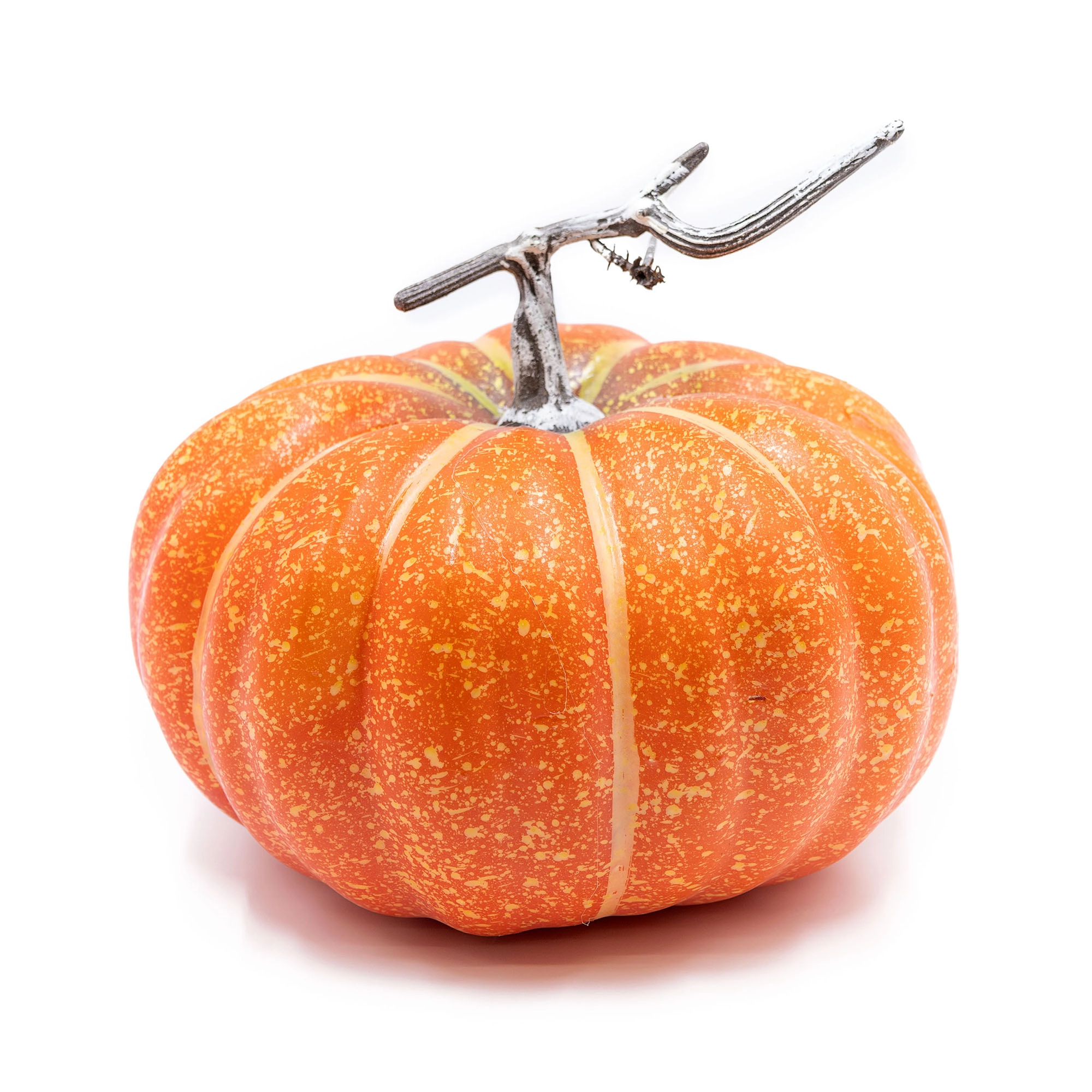 Pumpkin | Wholesale flowers, plants and supplies Pumpkin